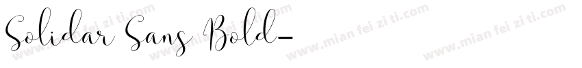 Solidar Sans Bold字体转换